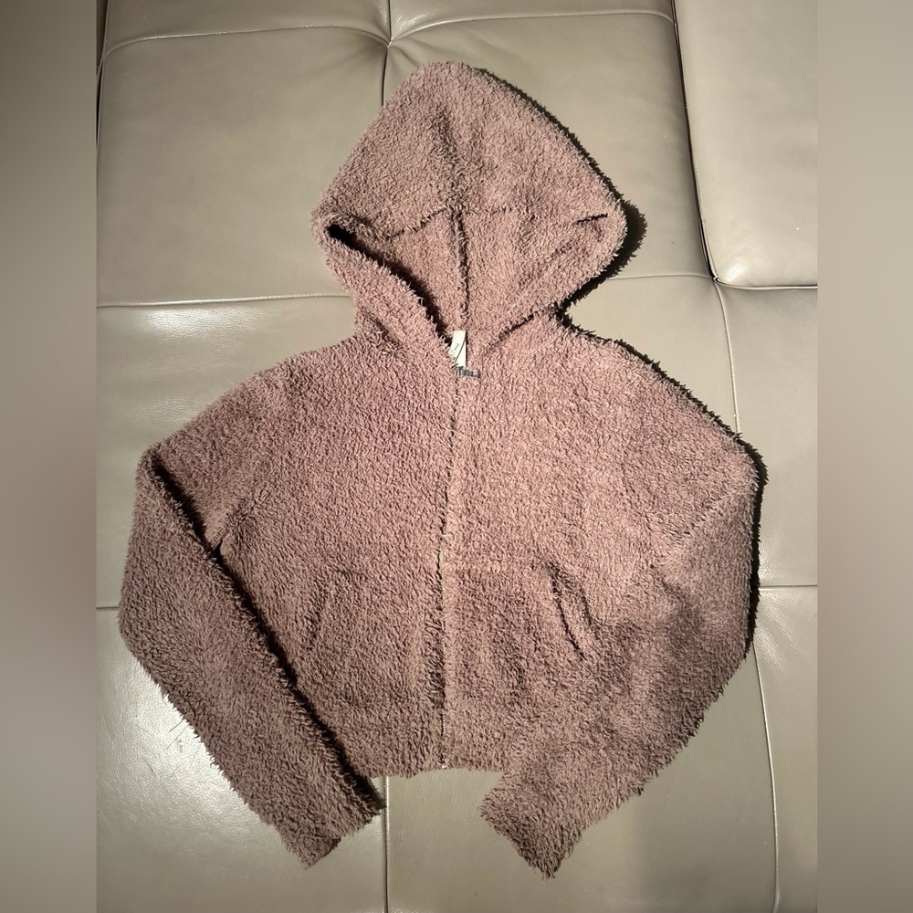 Aritzia Babaton Teddy hoodie